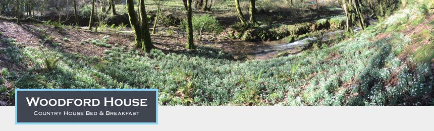 Doniford Stream, Williton